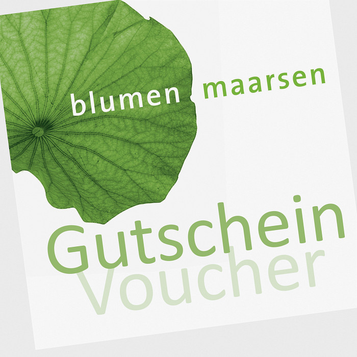 Angebot #1